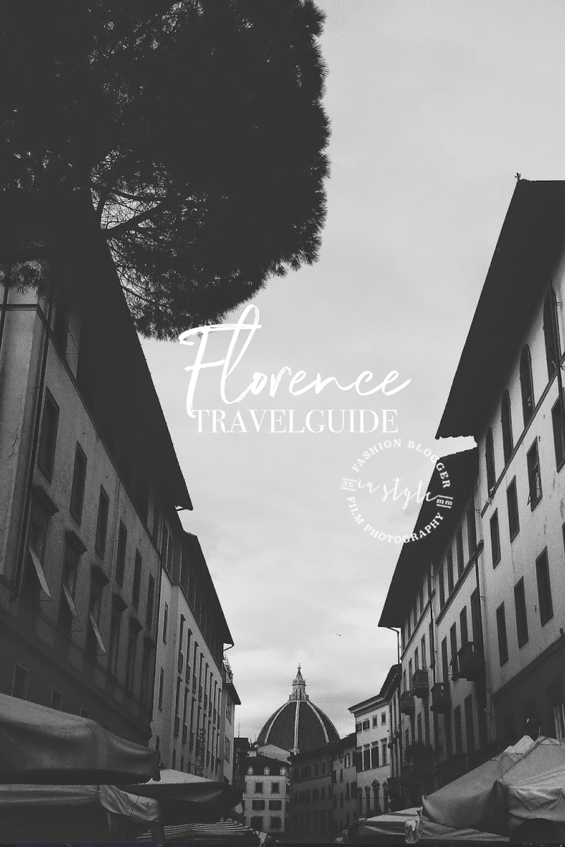 florence italy  travel guide